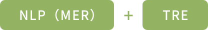 NLP（MER）+ TRE